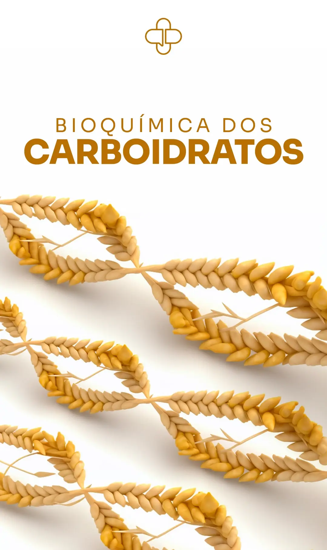 CAPA-COMUNIDADE-FARMACOFLIX--Bioquímica-dos-carboidratos copiar