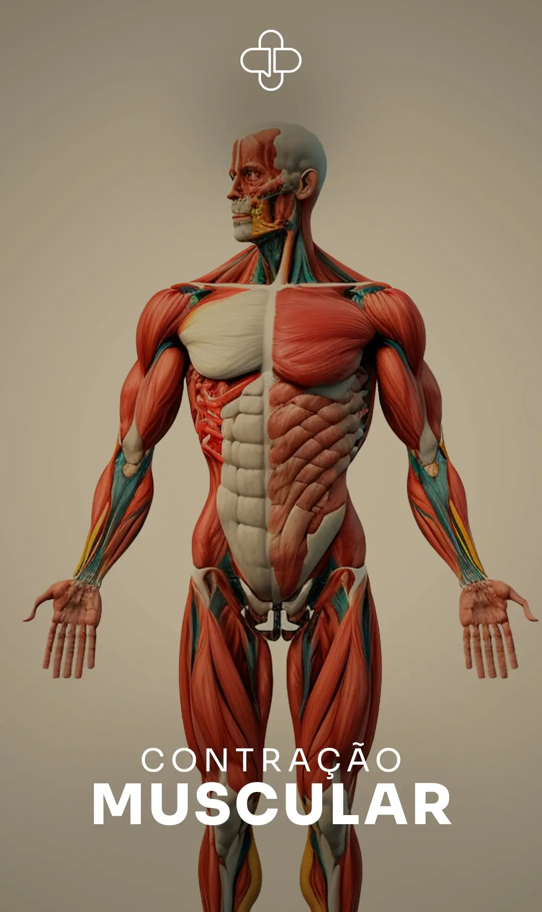 CAPA-COMUNIDADE-FARMACOFLIX---Contração-Muscular copiar